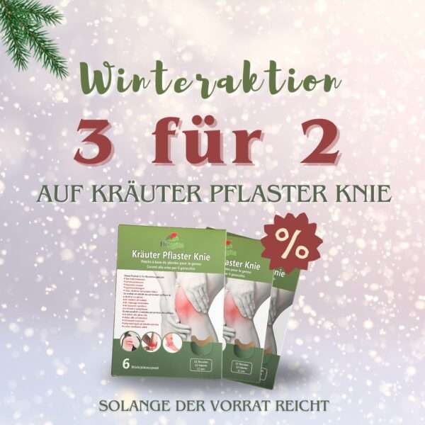 Original Kräuterpflaster Knie - 6 Stk.